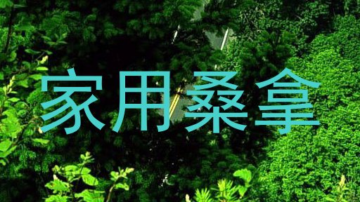 家用桑拿