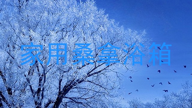 家用桑拿浴箱