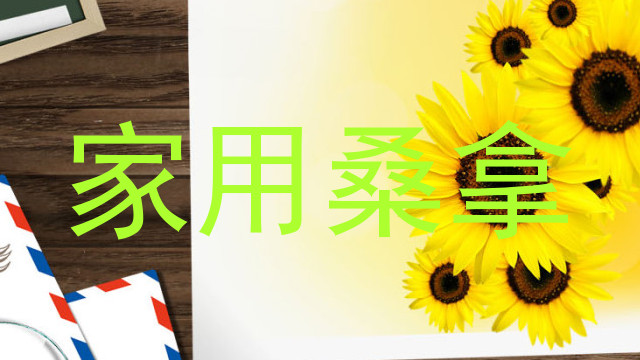 家用桑拿