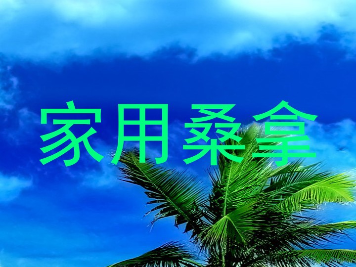 家用桑拿