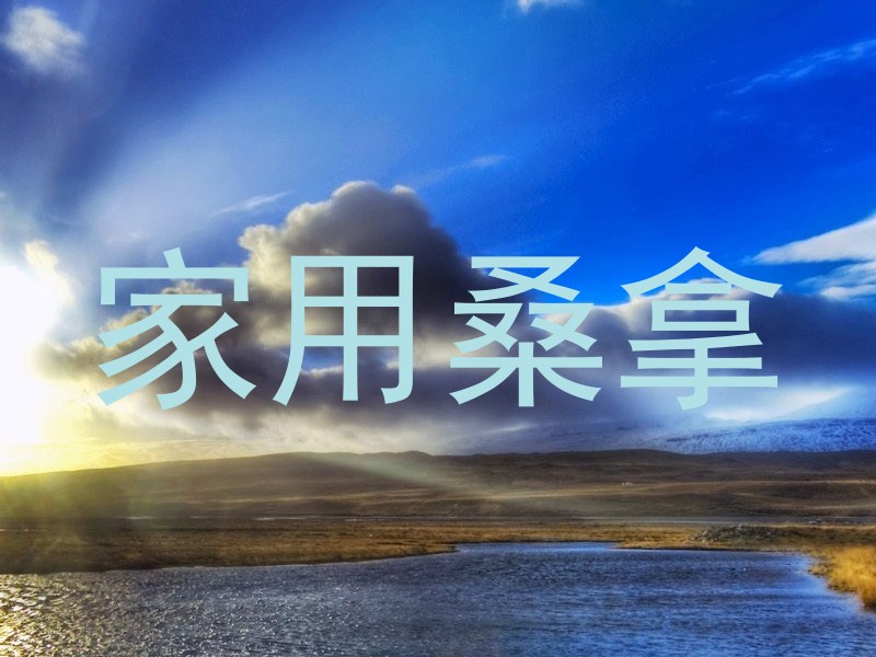 家用桑拿