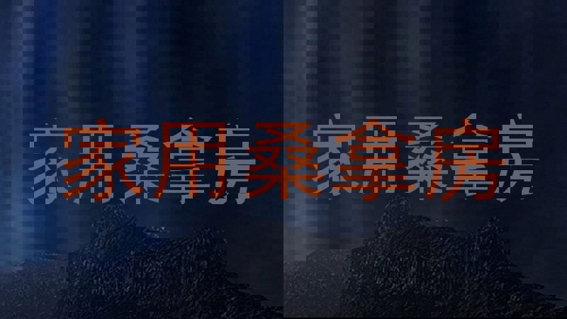 家用桑拿房