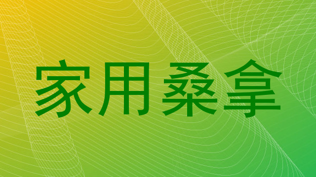 家用桑拿