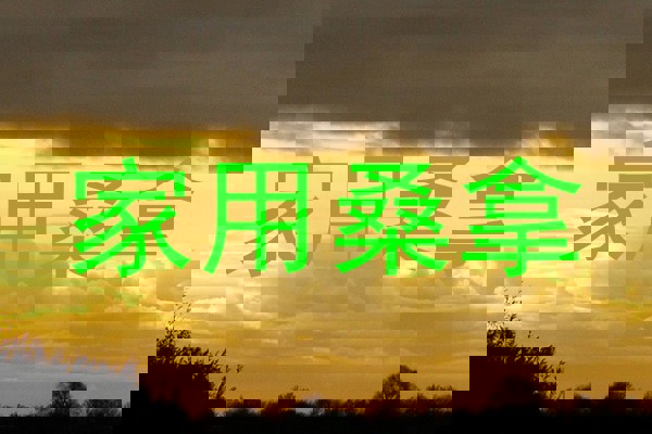 家用桑拿