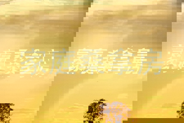 家庭桑拿房