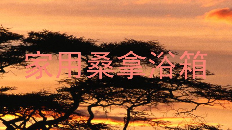 家用桑拿浴箱