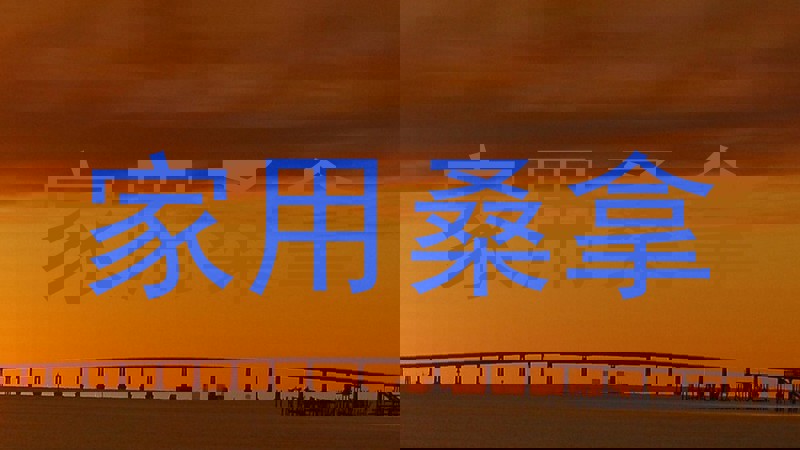 家用桑拿