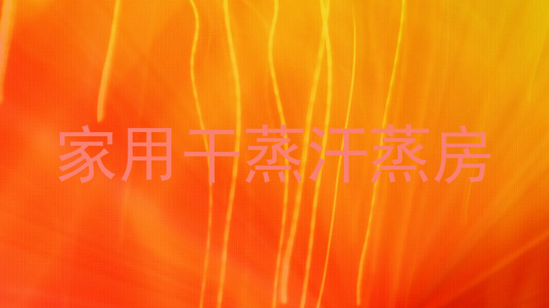 家用干蒸汗蒸房
