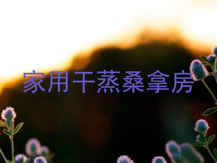 家用干蒸桑拿房