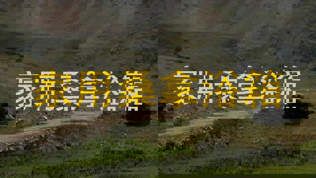 家用桑拿浴箱