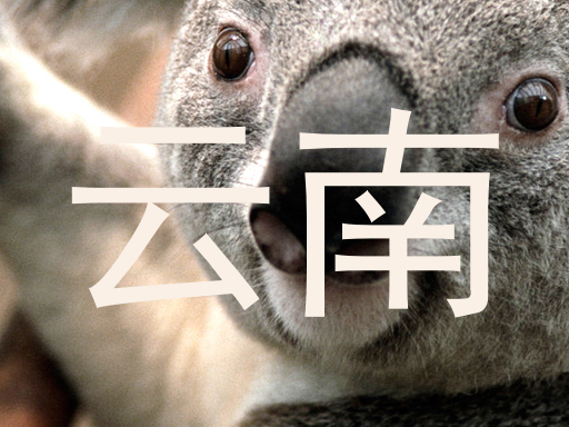 云南