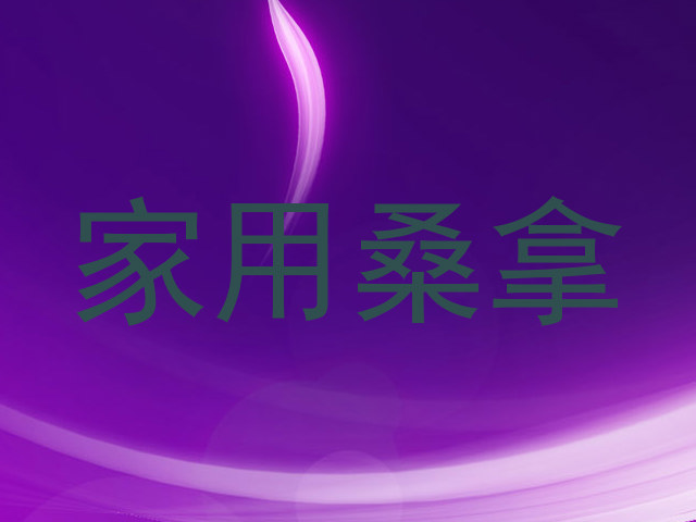 家用桑拿