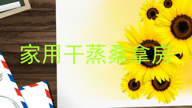 家用干蒸桑拿房