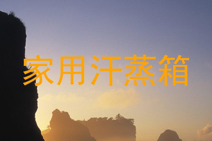 家用汗蒸箱