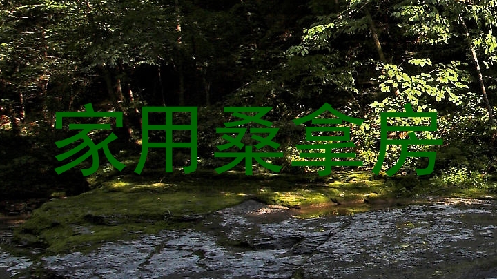 家用桑拿房