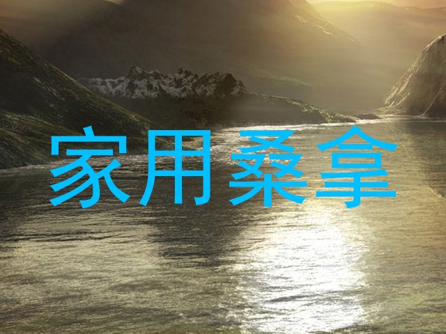 家用桑拿