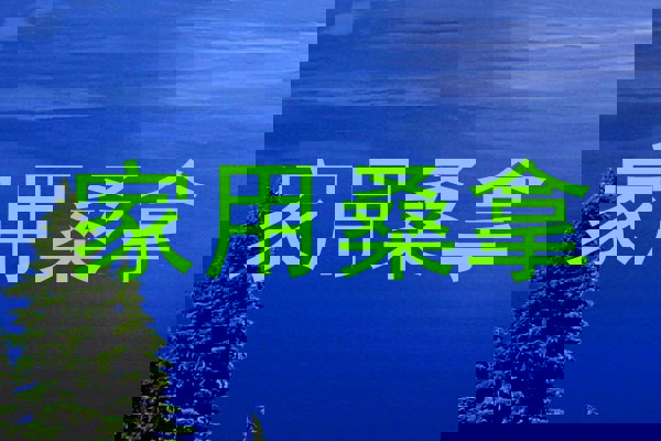 家用桑拿