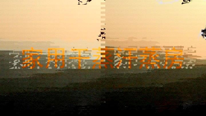 家用干蒸汗蒸房