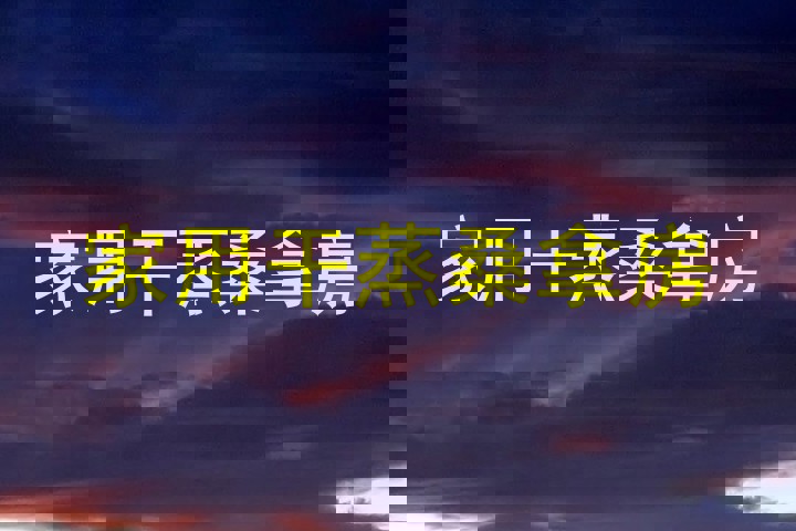 家用干蒸桑拿房