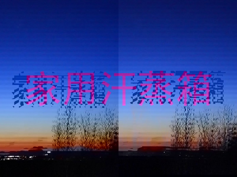 家用汗蒸箱