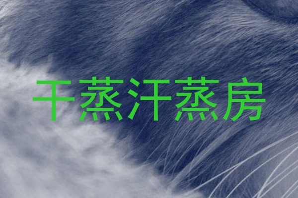 干蒸汗蒸房