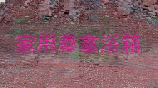 家用桑拿浴箱