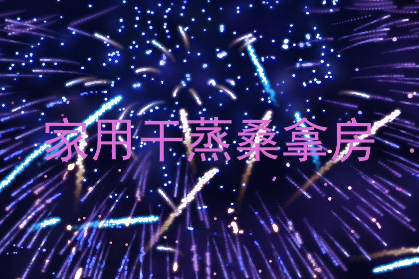 家用干蒸桑拿房
