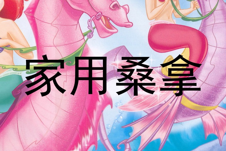 家用桑拿