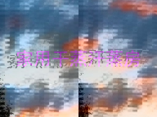 家用干蒸汗蒸房