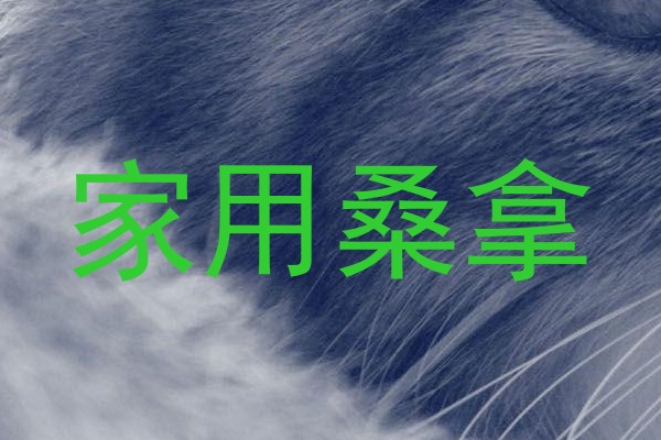 家用桑拿