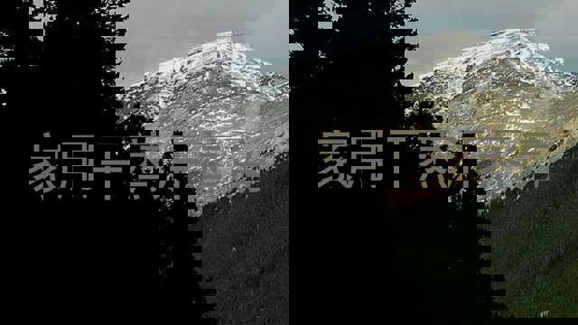 家用干蒸汗蒸房