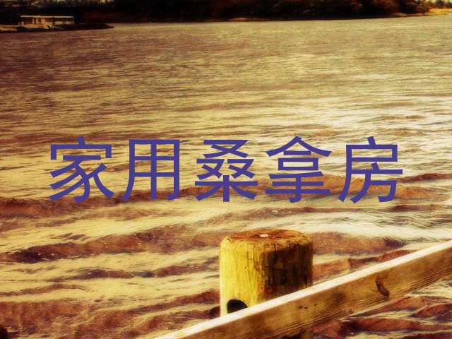 家用桑拿房