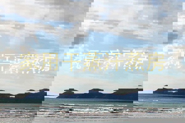 家用干蒸汗蒸房