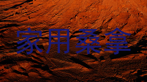 家用桑拿