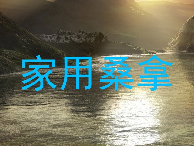 家用桑拿