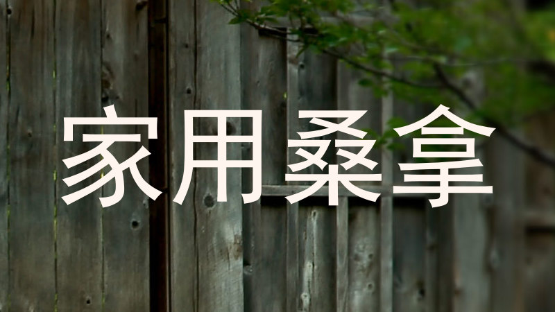 家用桑拿