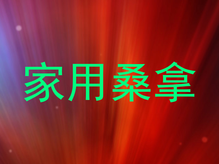 家用桑拿