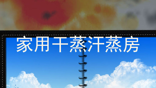 家用干蒸汗蒸房