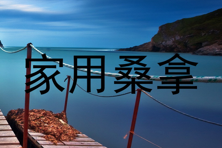 家用桑拿