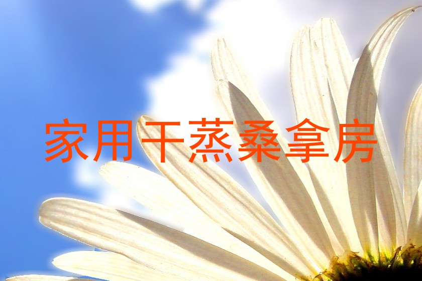 家用干蒸桑拿房