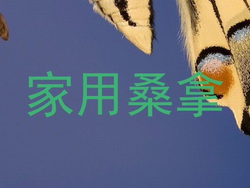 家用桑拿