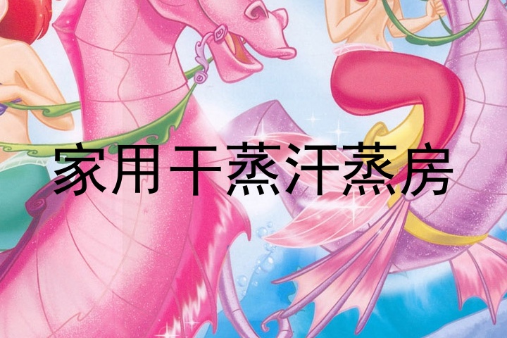 家用干蒸汗蒸房