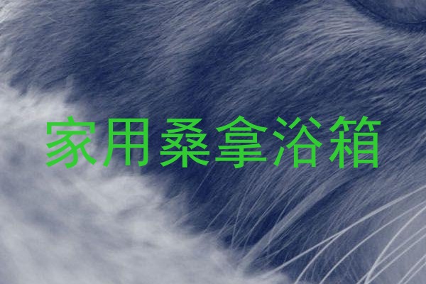 家用桑拿浴箱