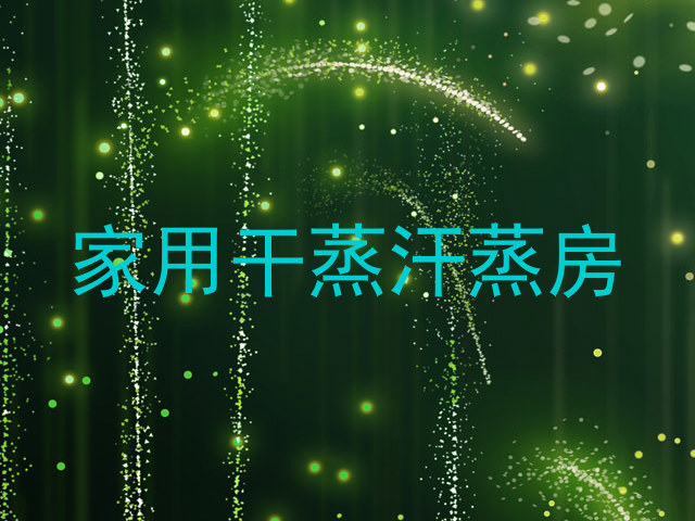 家用干蒸汗蒸房