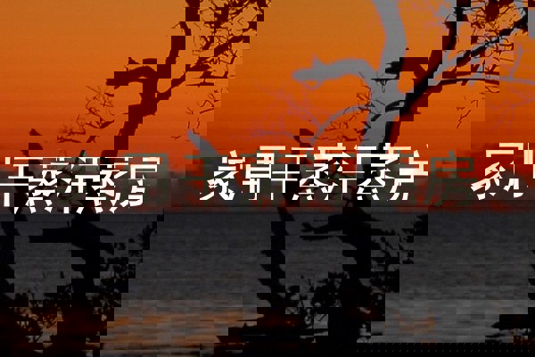 家用干蒸汗蒸房