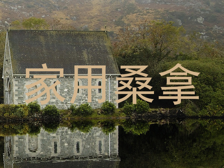 家用桑拿