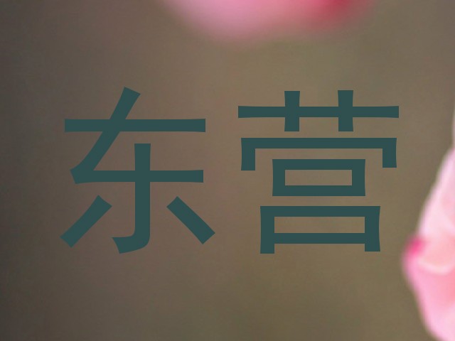 东营