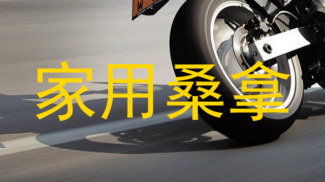 家用桑拿