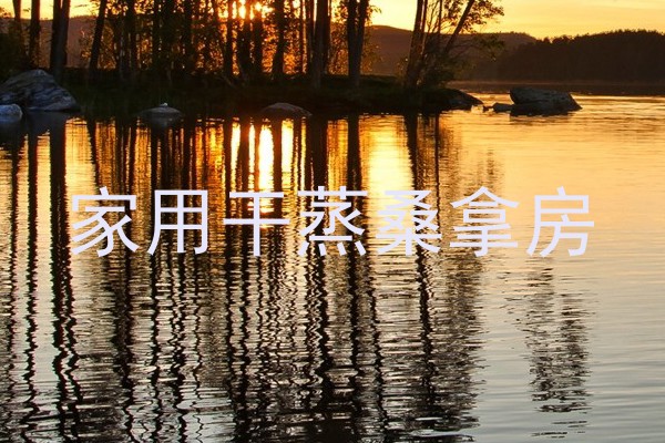家用干蒸桑拿房