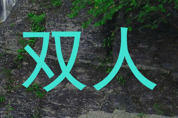 双人